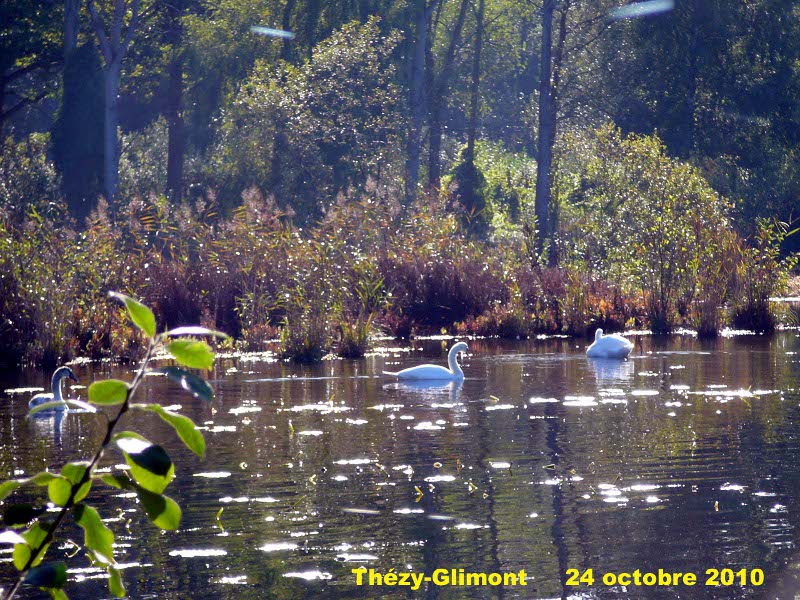 144_09 Thezy-Glimont.jpg